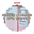 엔젤케어 | [보타미안엔젤 LPP트리트먼트] 손상모케어 단백질 영양제 추천 후기