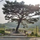 부산시설공단 곰내지소 이미지