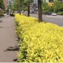 새천년농원 이미지