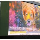 웰케어동물병원 이미지