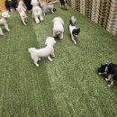 멍동댕유치원 이미지