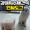 인싸도그 | 강아지수제간식 ㅣ 100% 수제 프리미엄 간식 인싸도그 후기