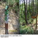 동산초교 이미지