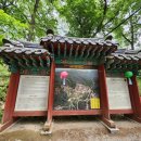하동 | 하동 『쌍계사』 솔직후기｜주차, 입장료, 지리산 힐링 산책코스