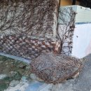 촌할인마트 이미지