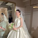 클라라헤어모드 | [결혼준비] 클라라 웨딩드레스 본식가봉, 실패 없는 최종 드레스 선택 후기
