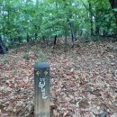 누비길5구간 이미지