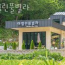 아델린풀빌라 이미지