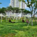 그늘막9 이미지