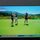 파인 힐링 이미지