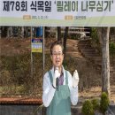 꿈과나무 이미지