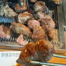 뉴타운생양고기