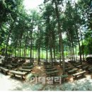유명산축산