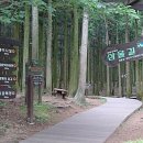 절물자연휴양림 이미지