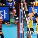 현대인삼 이미지