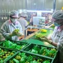 금호농업협동조합강남지점 이미지