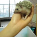 한라빌라B동 이미지