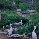 안흥종묘사 이미지