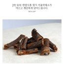 유근피 차 효능 / 느릅나무 차 시음 후기 - 한방차 전문 서울약재소