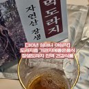 장생식품 | [30년 심마니 야심작] 도라지즙 – 기관지에좋은음식으로 매일 챙기는 장생도라지 진액 후기