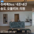 오블리브의원 | 인천 쥬베룩 5cc 스킨부스터 내돈내산 | 송도 피부과