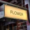 flower 테오