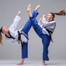 액티브경희태권도장 이미지