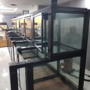 테라스애견미용카페 이미지