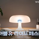 컨셉