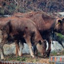 난곡동-42 이미지