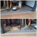 남산 하누리 행복공 | 용산구 트윈시티 남산 오피스텔 입주/이사청소 + 에어컨 분해청소