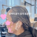 용정8길 8, (용산동) | 충주 용산동 미용실 헤어데이미용실, 두피 자극 없는 염색 후기