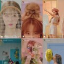 스튜디오미니테일 이미지