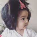 더벅머리 이미지