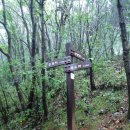 정자동마을회관 이미지