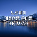 오로라환경 이미지