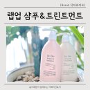 온가족샴푸 트린트먼트로 사용중인 무실리콘 닥터바이오 랩업 세트