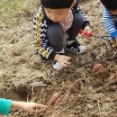 강정보여울 협동조합 이미지