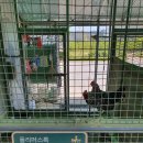 붕닭 | [안동 녹색체험공원] 관상조류와 동물들을 무료로 관람 가능한 곳 : 나들이와 데이트 장소로 제격!