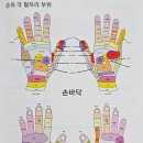 손마사지기 손가락저림 손저림개선 셰퍼 메디 핸드 손마사지기 사용후기