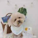 꾸미멍 이미지