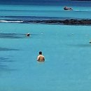 제주시 [한림 금능] 혼저(昏猪) 흑돼지 이미지