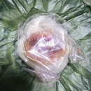 유명한과일 | 경주 황리단길 디저트 맛집 추천 생과일 모찌가 유명한 타르당 후기