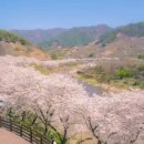 평사리공원3 이미지