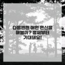 머리천국 이미지