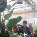 옥봉초등학교 이미지