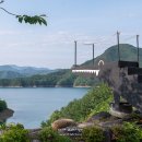 게으른 악어 이미지