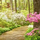 (주)새손 강남조선소점 | [24절기 시] [춘분 시] 춘분(春分)에 관힌 시모음 42편