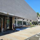 김 앤 장 행정사 | 양양 아이와 여행 더앤리조트 천연온천 숲속힐링, 디럭스키즈룸 후기