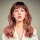 The 청담PC 이미지